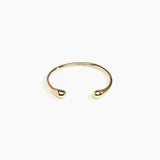 Dinosaur Designs Sprout Bangle in Nano-Coated Brass Material
