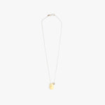 Dinosaur Designs Joie De Vivre Pendant in Lemon Colour resin with 925 Sterling Silver Material