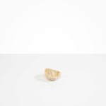 Dinosaur Designs Flow Spice Dish in Sandy Pearl Colour resin