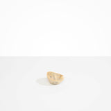 Dinosaur Designs Flow Spice Dish in Sandy Pearl Colour resin