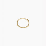 Dinosaur Designs Coral Bangle in Nano-Coated Brass Material resin with Regular Size