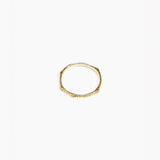 Dinosaur Designs Coral Bangle in Nano-Coated Brass Material resin with Regular Size