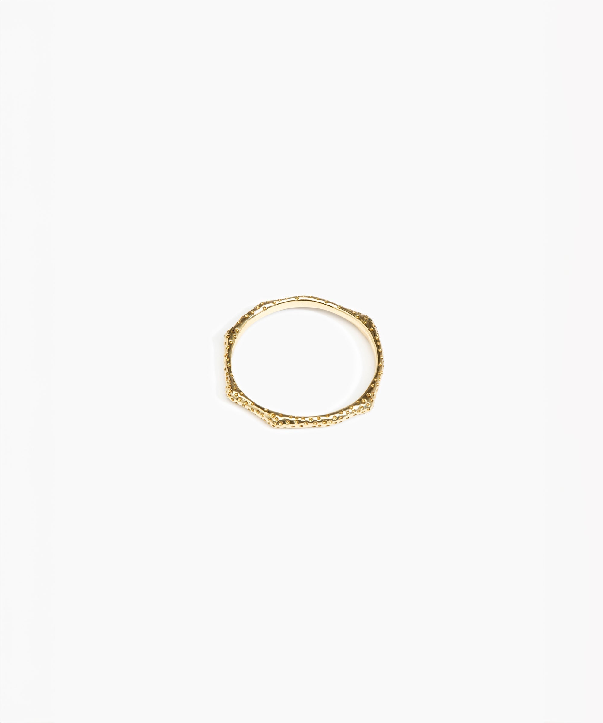 Dinosaur Designs Coral Bangle in Nano-Coated Brass Material resin with Regular Size