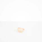Dinosaur Designs Flow Spice Dish in Rose Swirl Colour resin