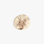 Dinosaur Designs MISTEMCST Temple Coaster CAPPUCCINO