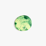Dinosaur Designs MISTEMCST Temple Coaster GRASS