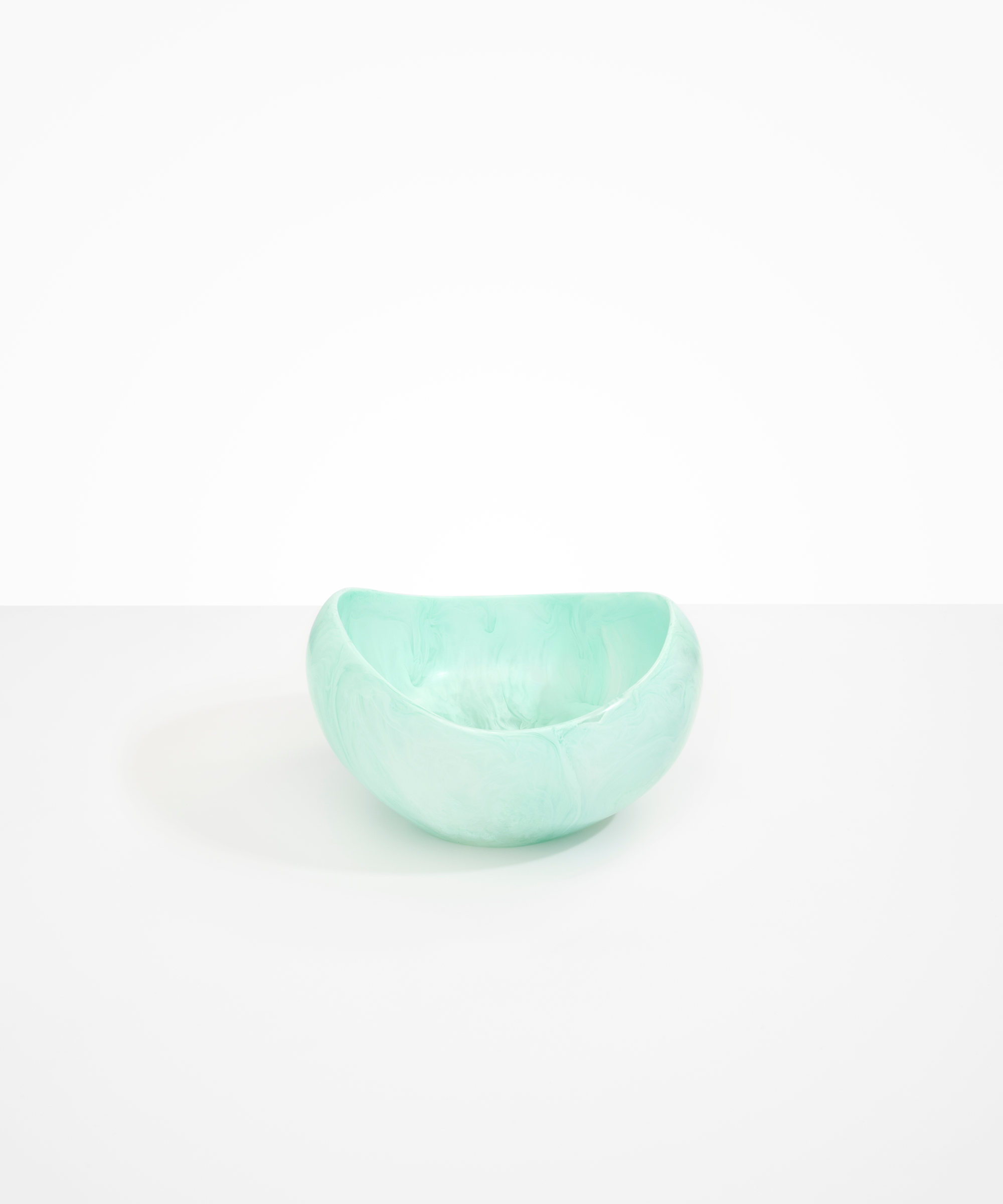 Dinosaur Designs Large Beetle Bowl in Mint Colour resin