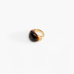 Dinosaur Designs Large Horn Ring in Dark Horn Colour resin with Nano-Coated Brass Material
