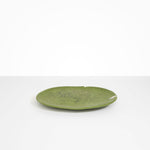 Dinosaur Designs Large Temple Platter in Olive Colour resin