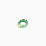 Dinosaur Designs Round Rock Ring in Moss Colour resin