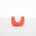 Dinosaur Designs Small Branch Vase in Lychee Colour resin