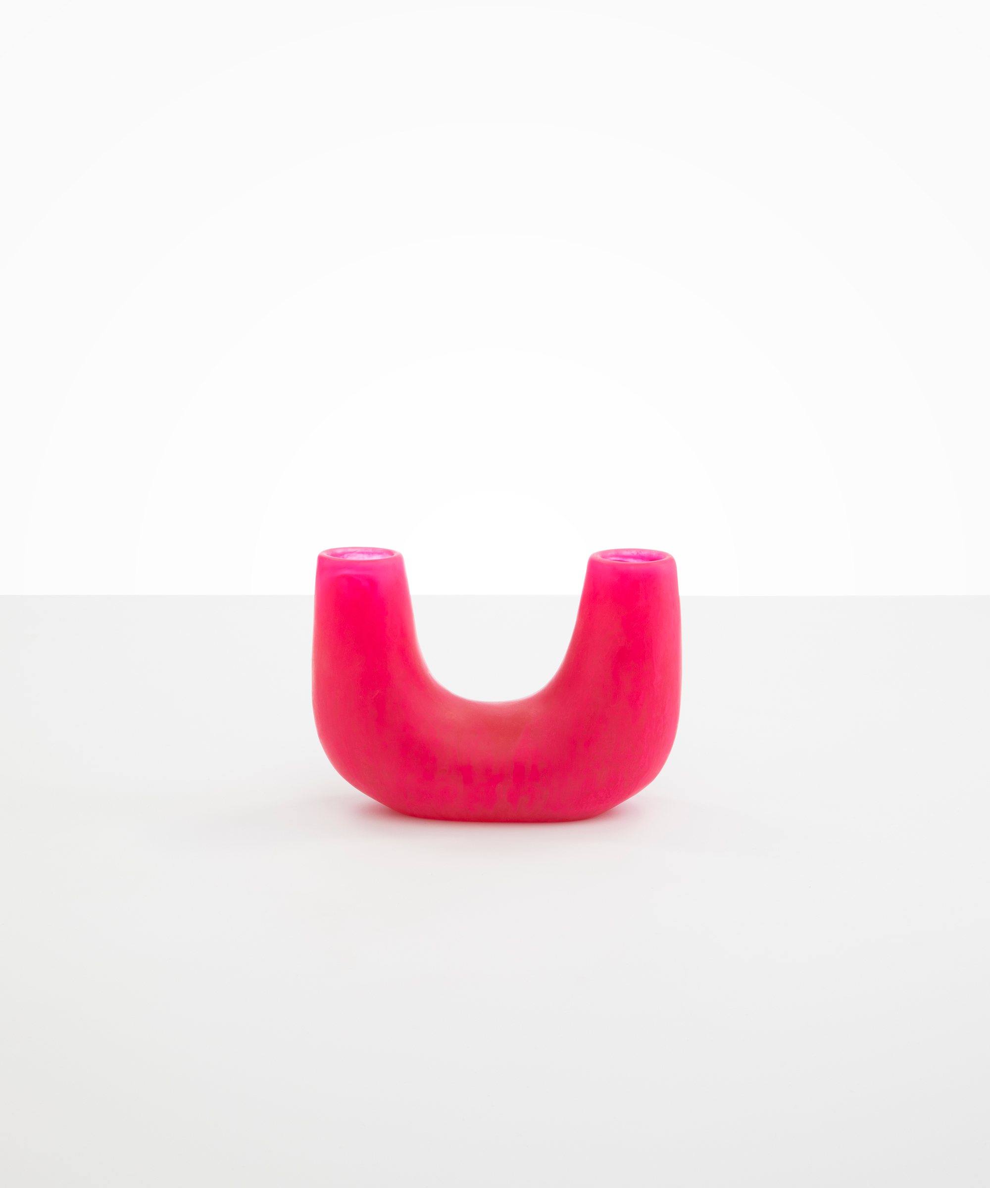 Dinosaur Designs Small Branch Vase in Flamingo Colour resin
