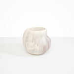 Dinosaur Designs Large Moss Vase in Chalk Swirl Colour resin