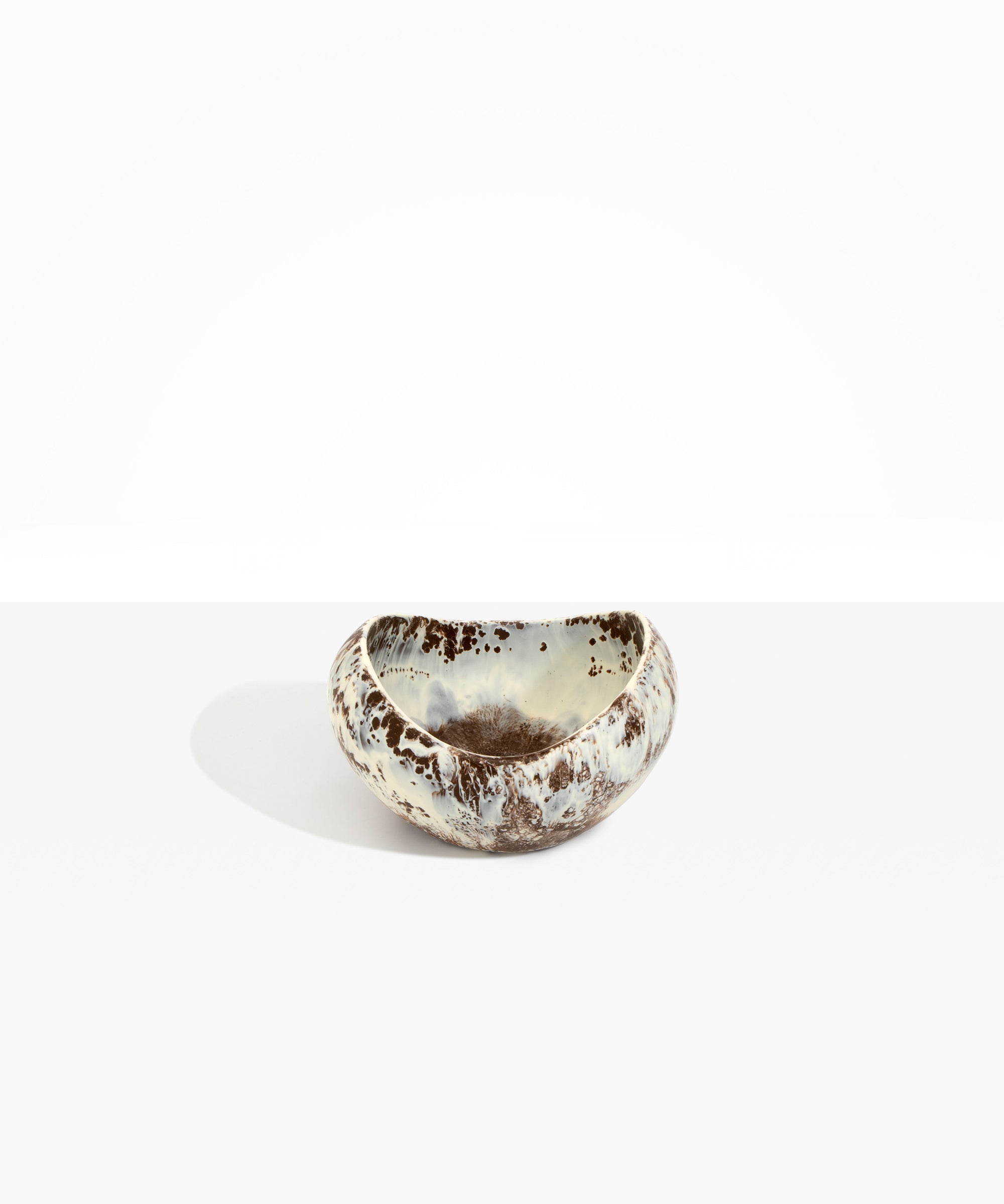 Dinosaur Designs Medium Beetle Bowl in Cappuccino Colour resin