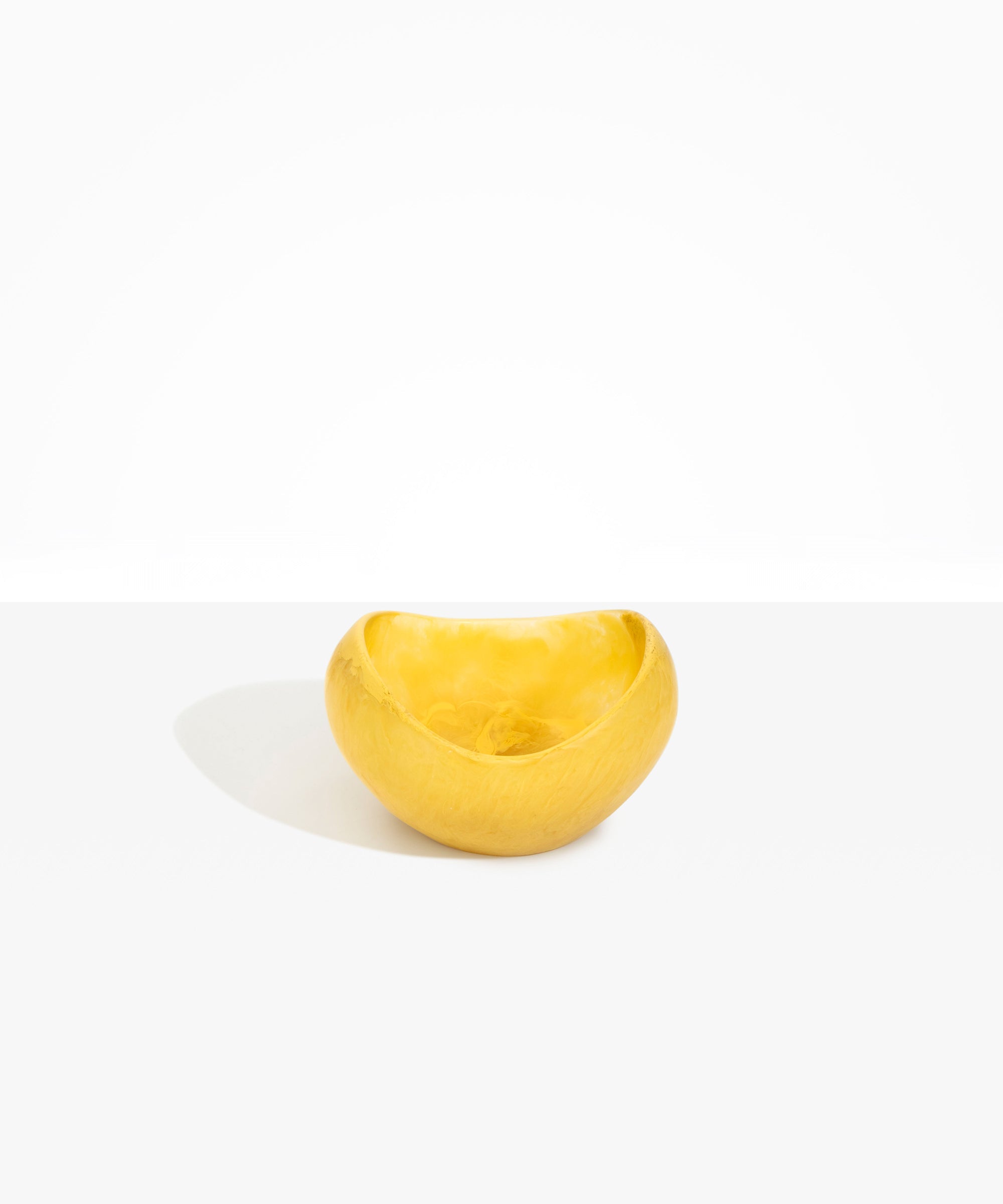 Dinosaur Designs Medium Beetle Bowl in Pollen Colour resin