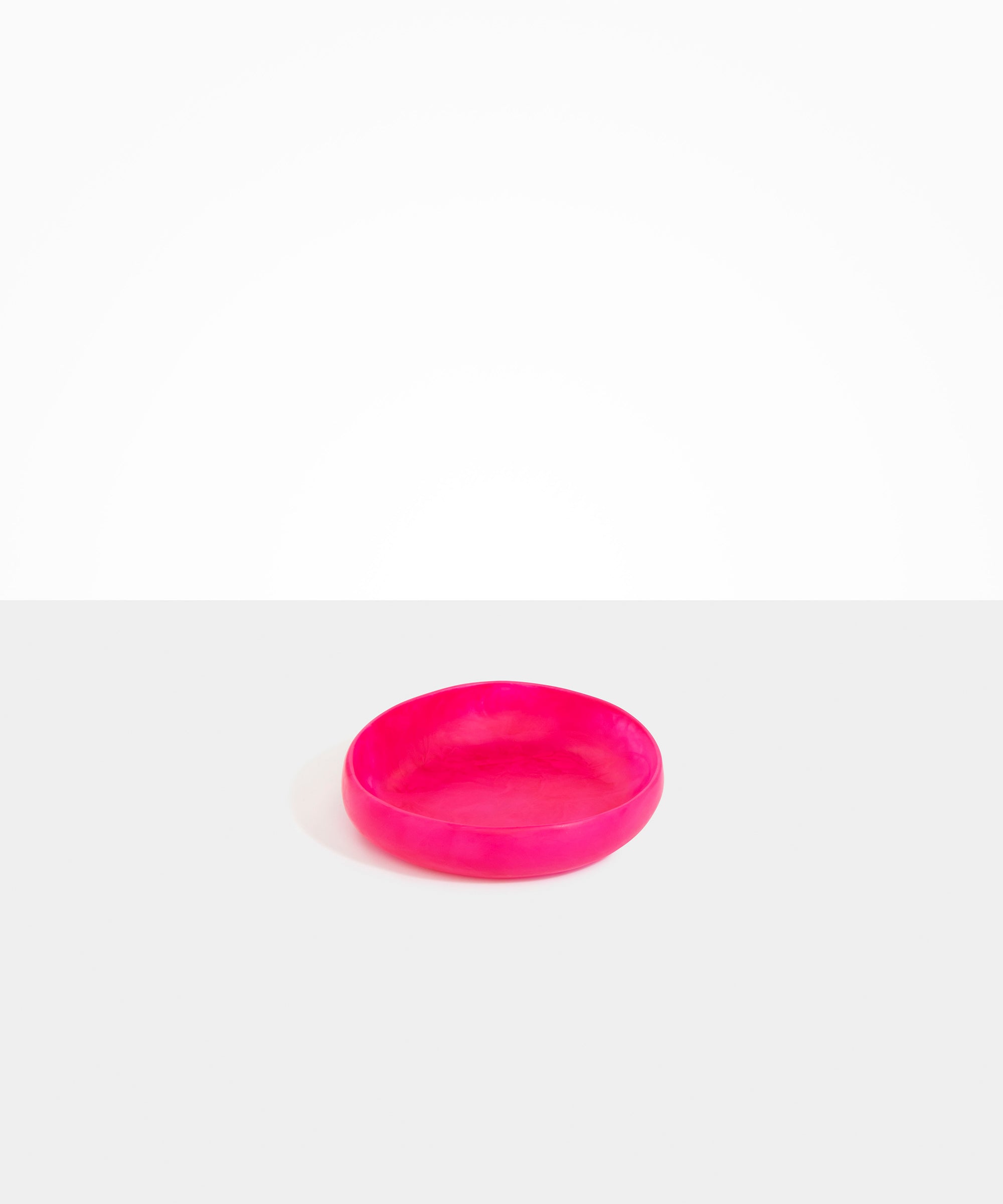 Dinosaur Designs Small Earth Bowl in Flamingo Colour resin