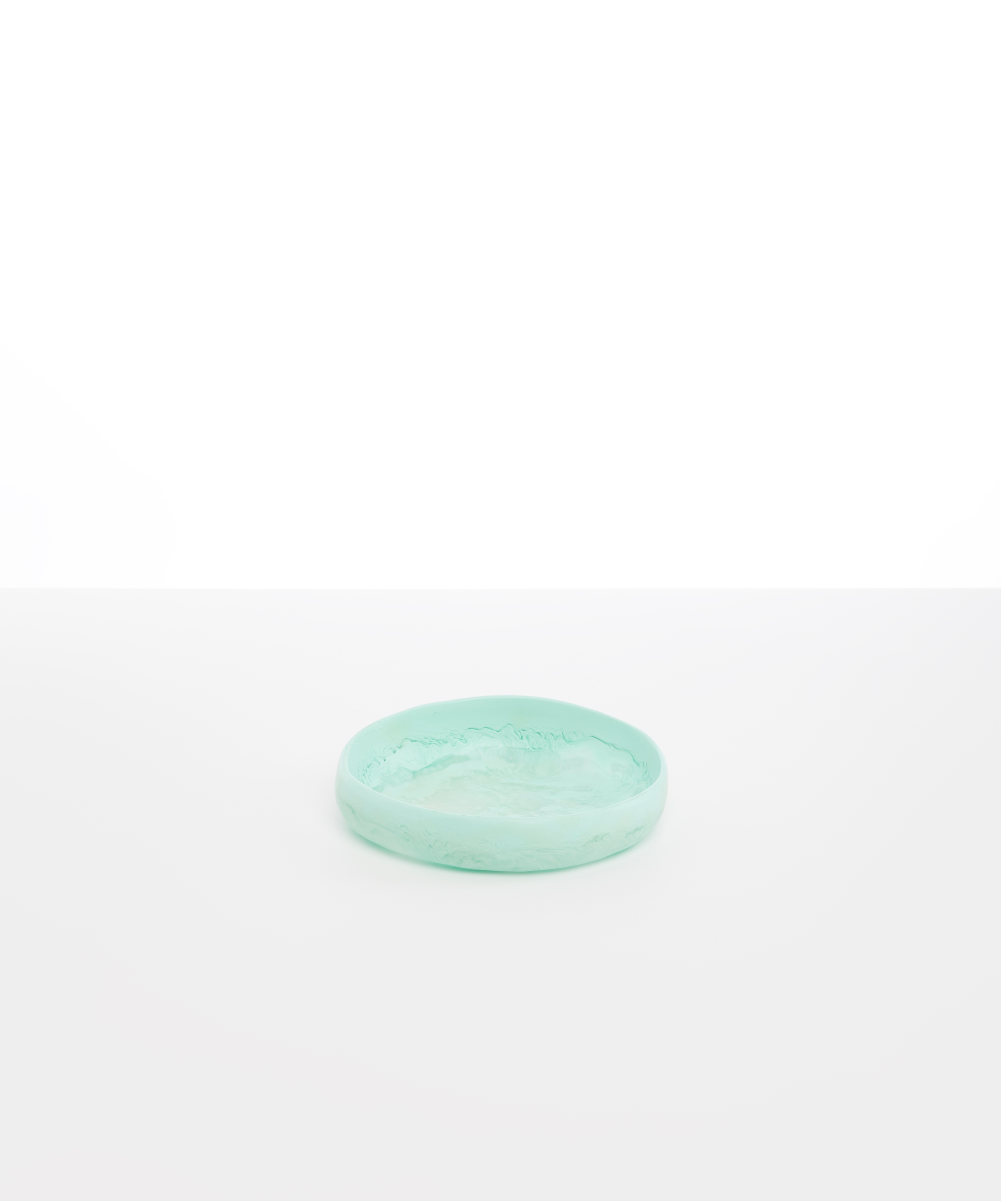 Dinosaur Designs Small Earth Bowl in Mint Colour resin