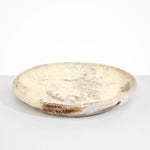 Dinosaur Designs Extra Large Earth Bowl in Cappuccino Colour resin