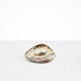 Dinosaur Designs Small Leaf Bowl in Cappuccino Colour resin
