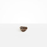Dinosaur Designs Flow Spice Dish in Cappuccino Colour resin