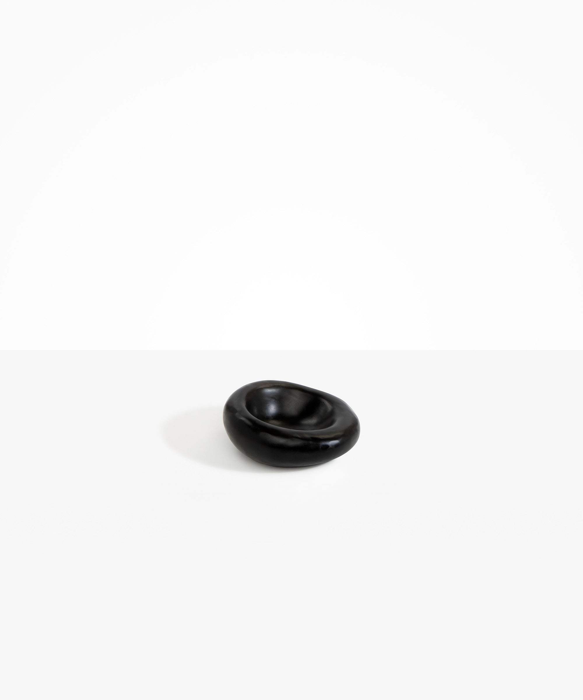 Dinosaur Designs Medium Drift Dish in Black Colour resin
