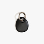 Dinosaur Designs Earth Keyring in Black Colour resin with Gunmetal Metal