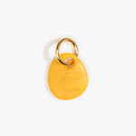 Dinosaur Designs Earth Keyring in Honeycomb Colour resin with Brass Metal