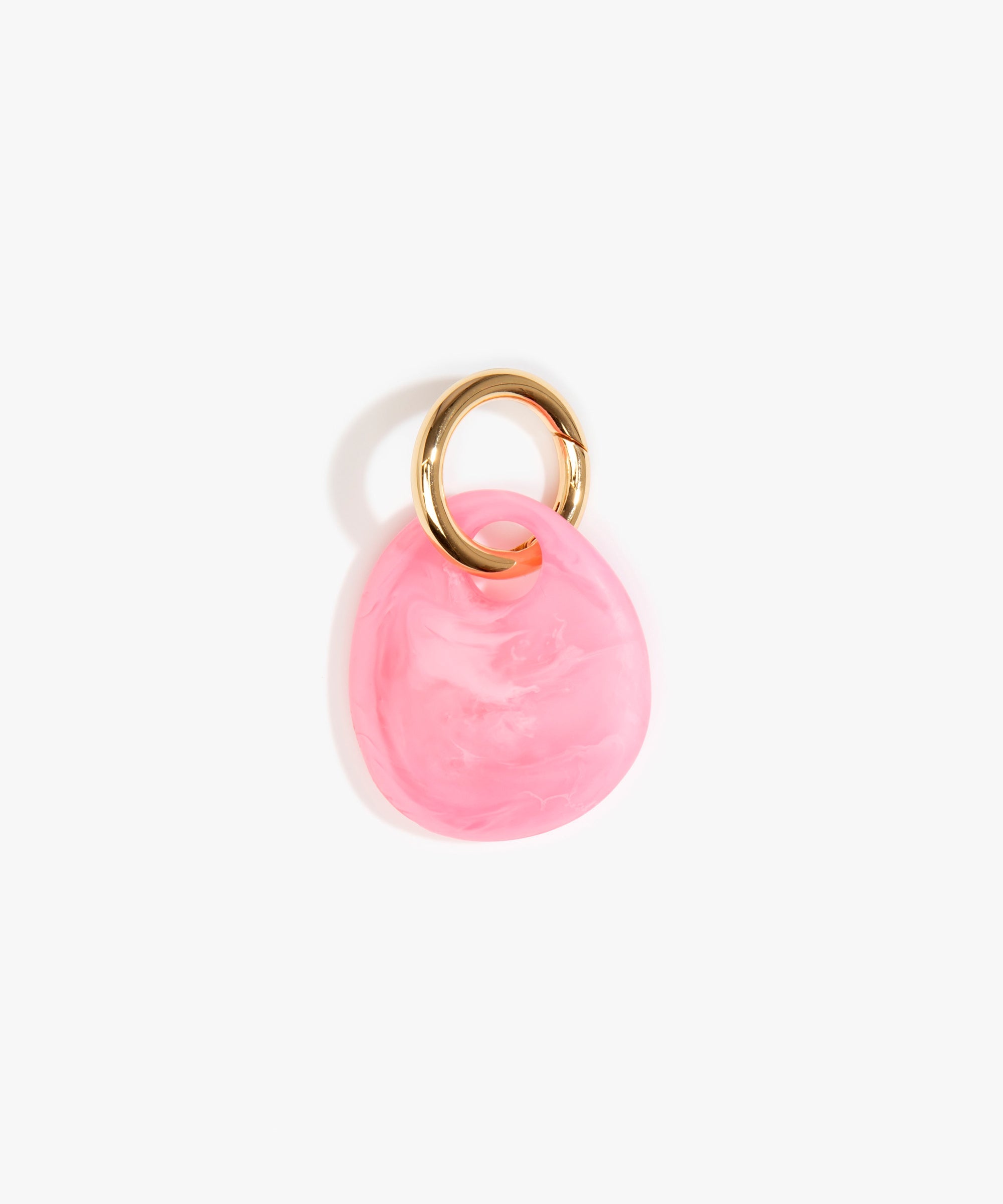 Dinosaur Designs Earth Keyring in Parakeet Colour resin with Brass Metal