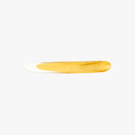 Dinosaur Designs Stone Cheese Knife in Pollen Colour resin