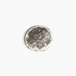 Dinosaur Designs MISTEMCST temple coaster GRANITE