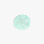 Dinosaur Designs MISTEMCST temple coaster MINT