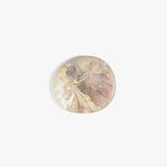Dinosaur Designs MISTEMCST temple coaster SANDY PEARL