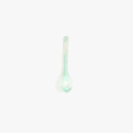 Dinosaur Designs Stone Spoon in Mint Colour resin