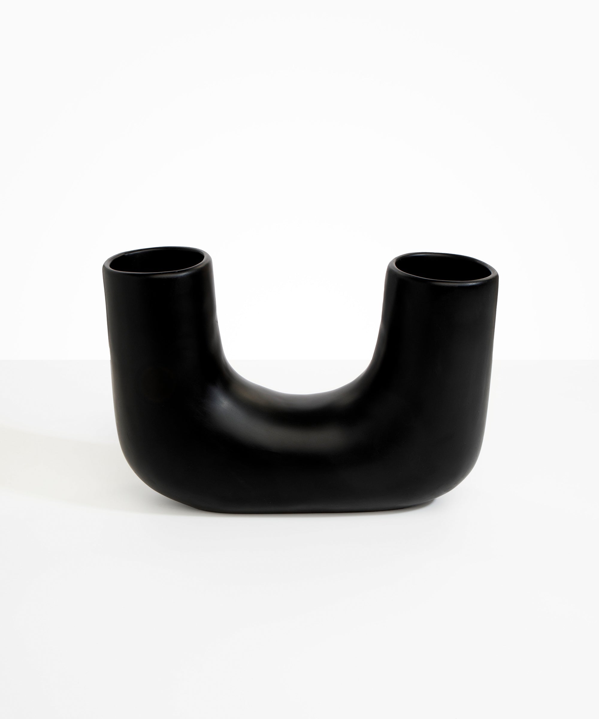 Dinosaur Designs Large Branch Vase in Black Colour resin