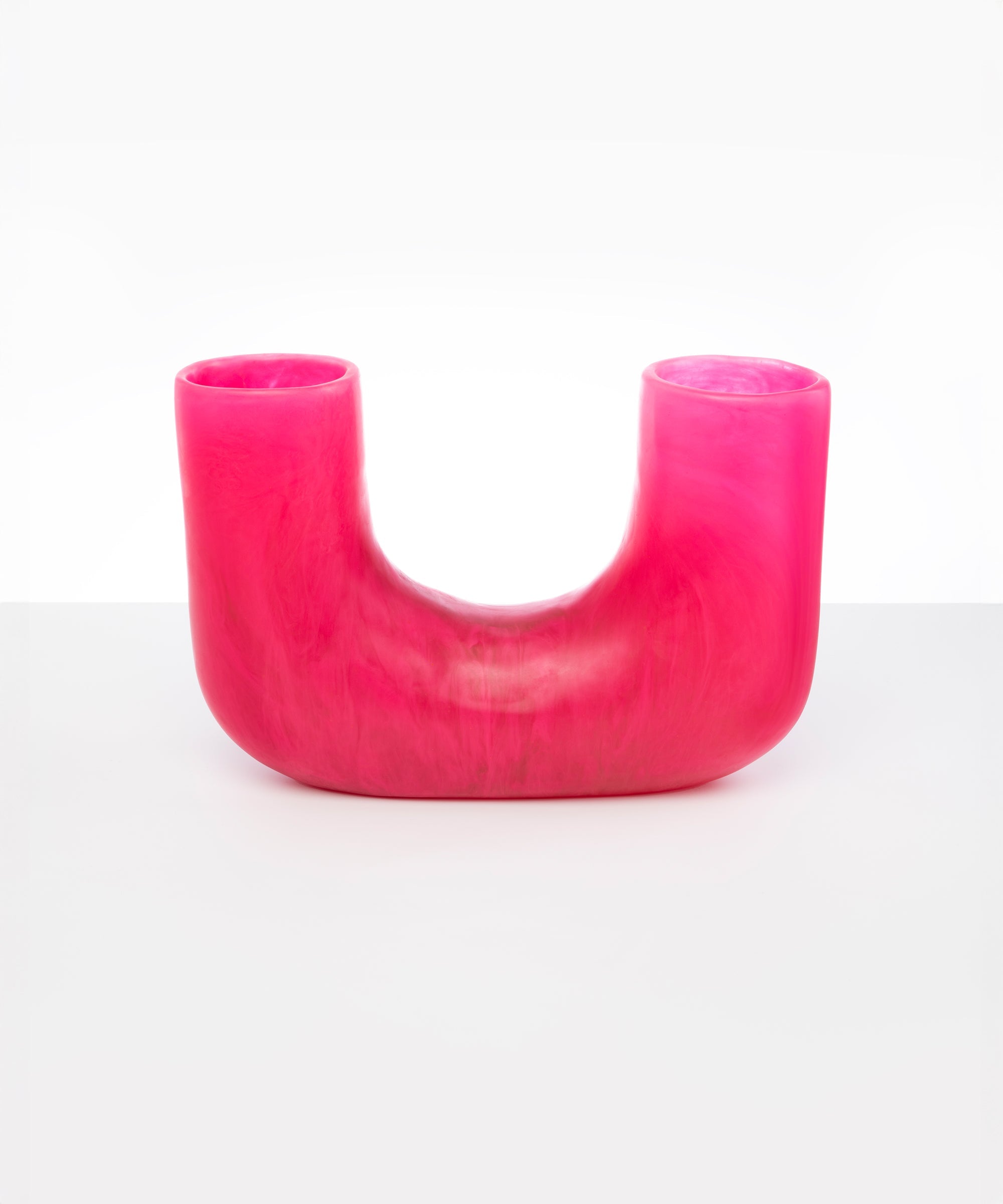 Dinosaur Designs Large Branch Vase in Flamingo Colour resin