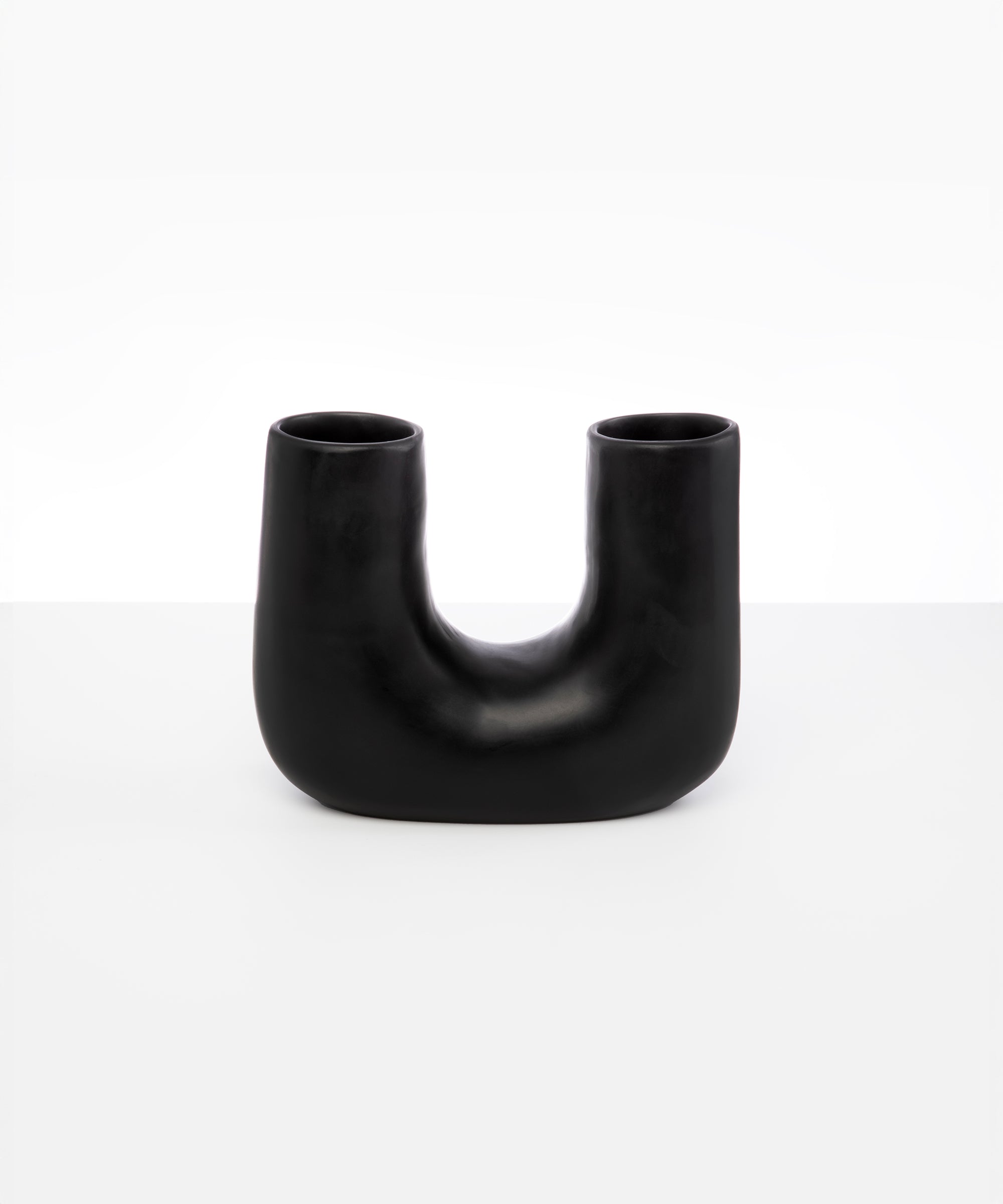 Dinosaur Designs Medium Branch Vase in Black Colour resin