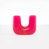 Dinosaur Designs Medium Branch Vase in Flamingo Colour resin