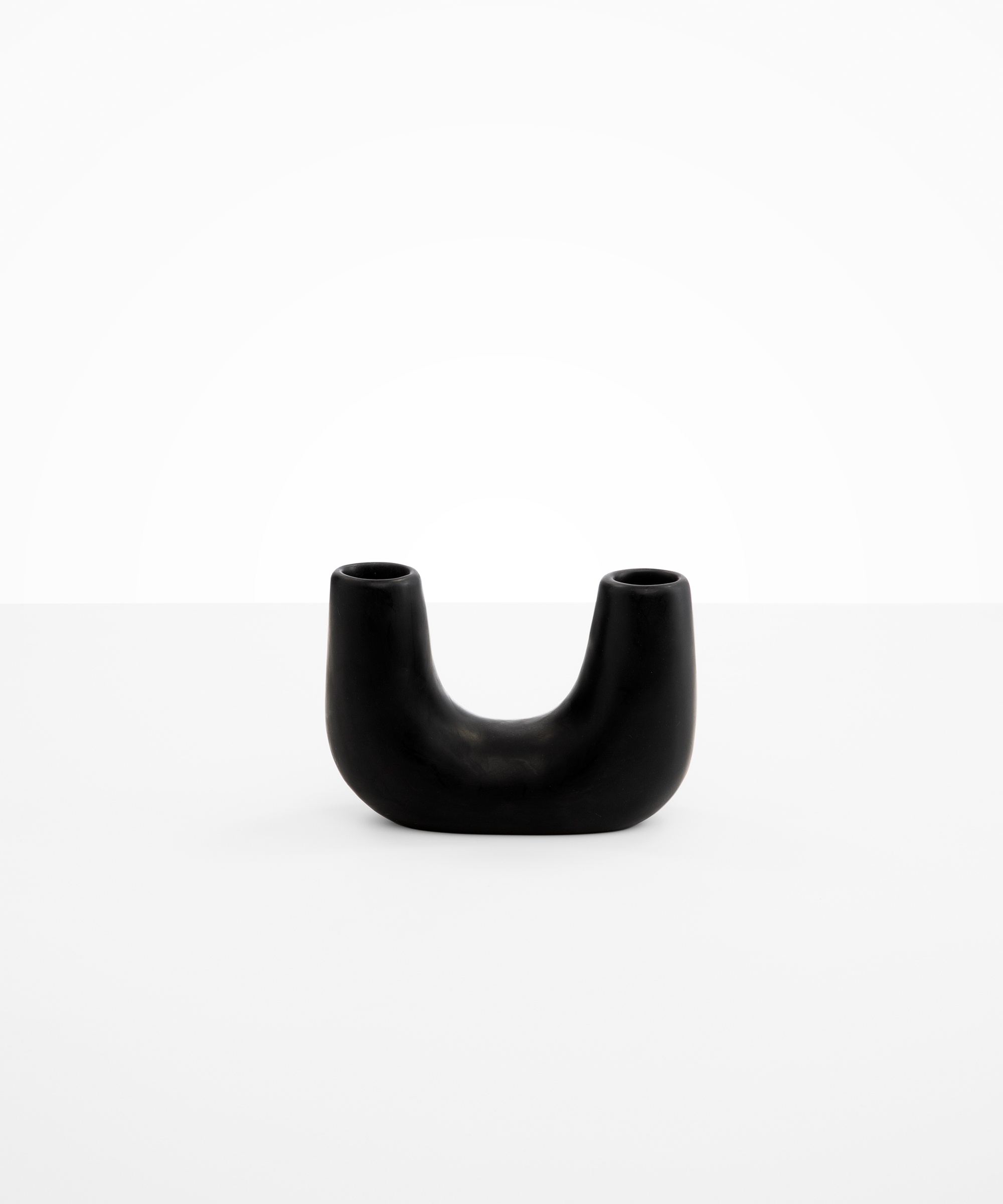 Dinosaur Designs Small Branch Vase in Black Colour resin