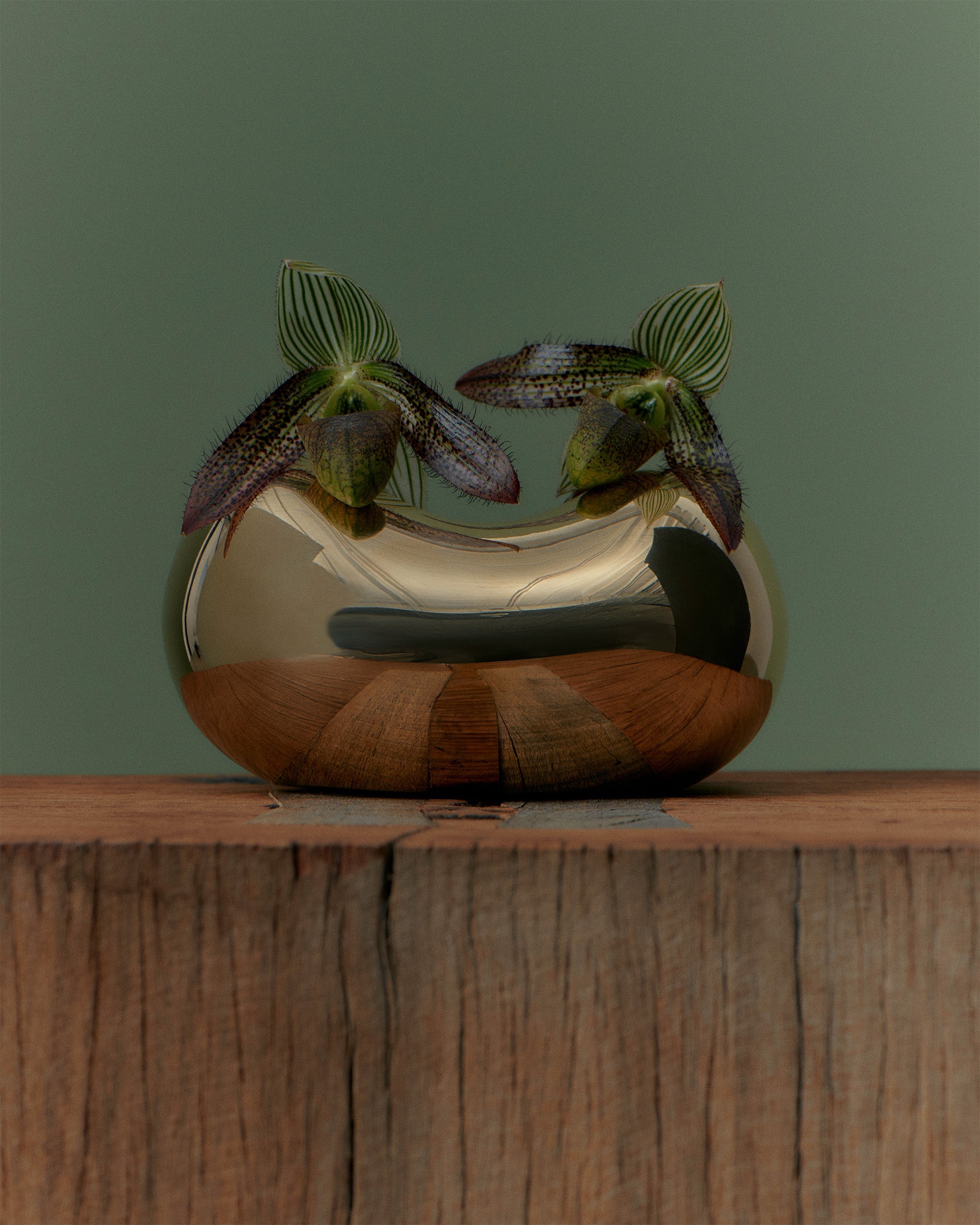 LO Collections Homewares