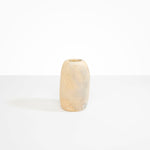 Dinosaur Designs Medium Pebble Vase Vases in Sandy Pearl Colour resin