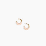 Small Horn Earrings