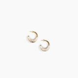 Small Horn Earrings