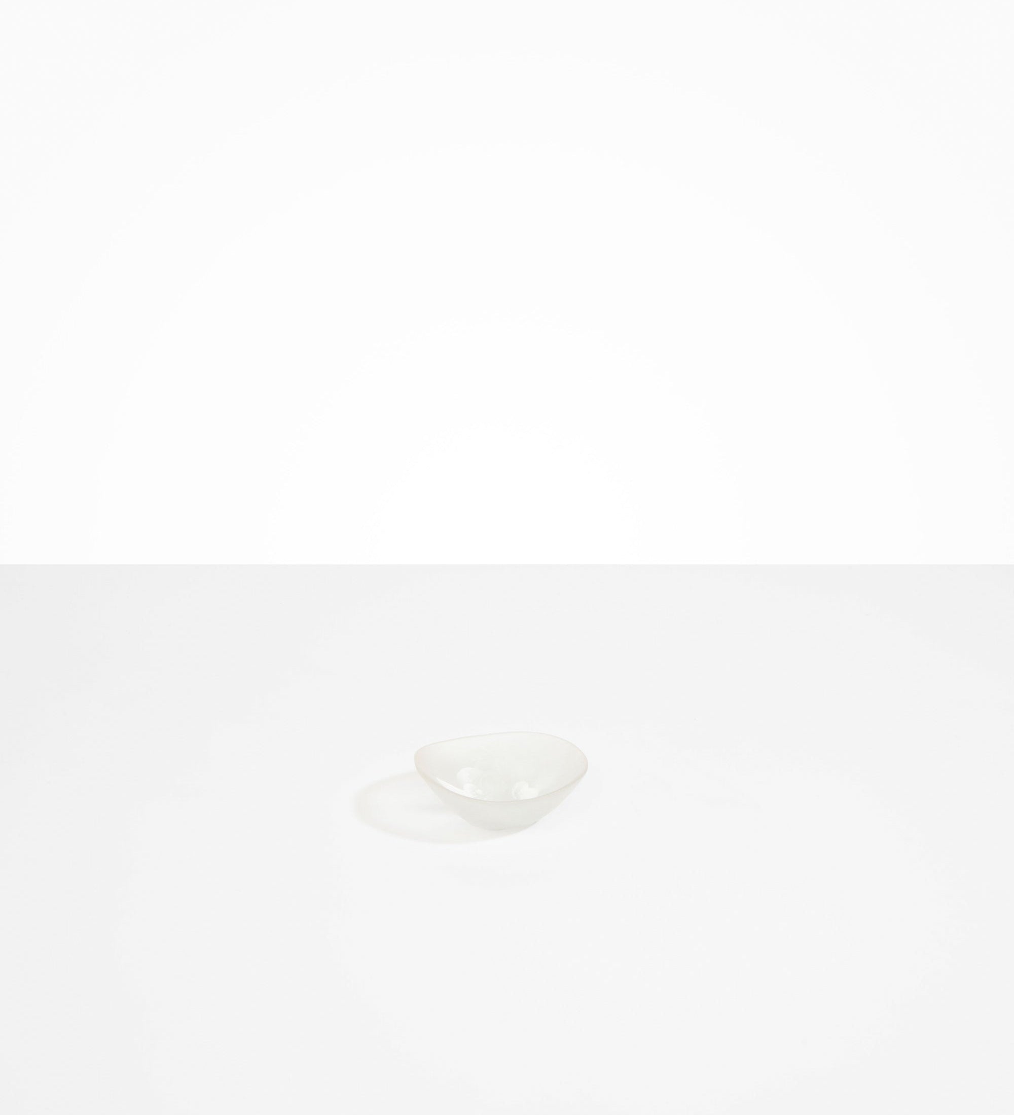 Dinosaur Designs Flow Soy Dish Tableware in Frost Colour resin