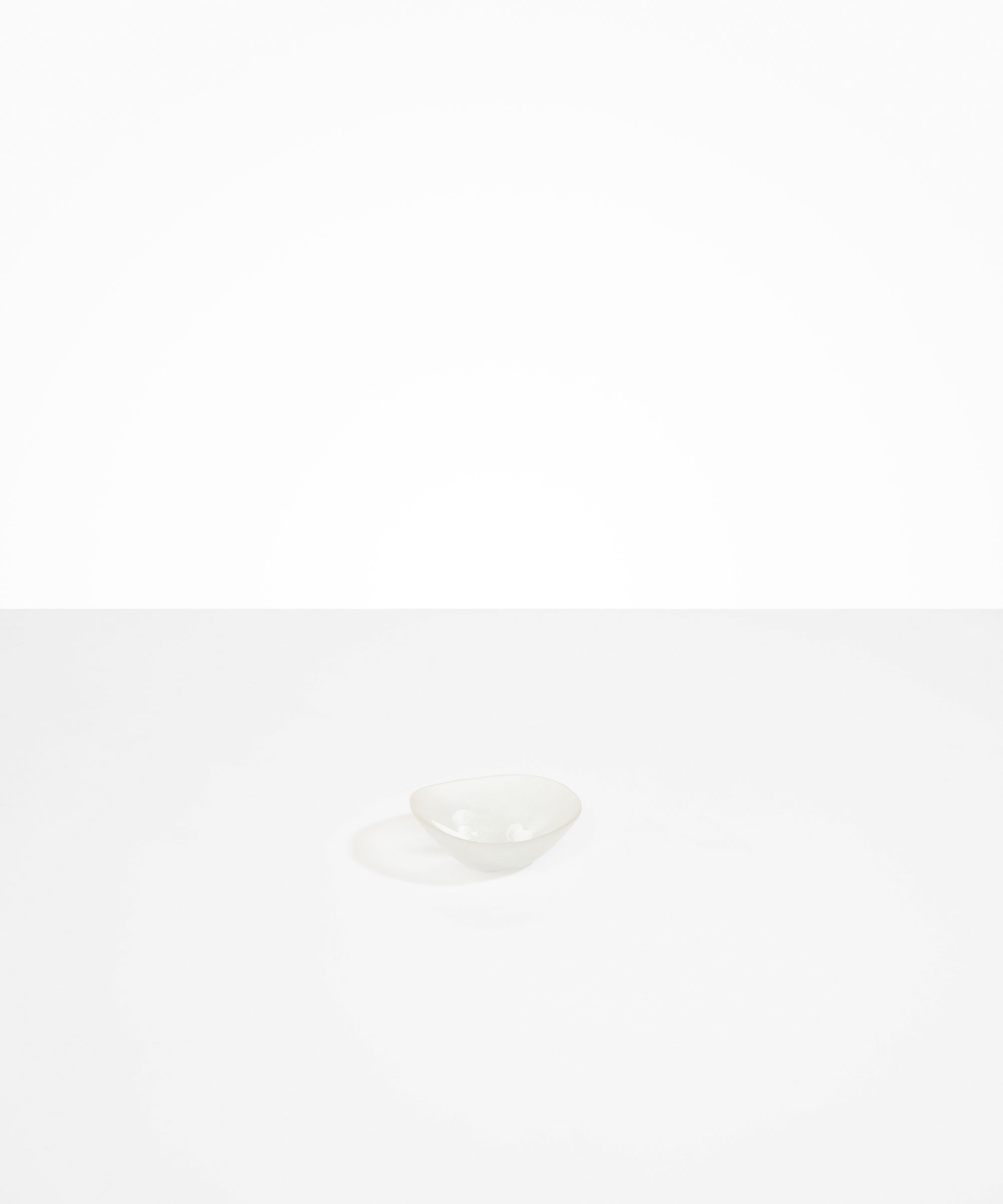 Dinosaur Designs Flow Soy Dish Tableware in Frost Colour resin