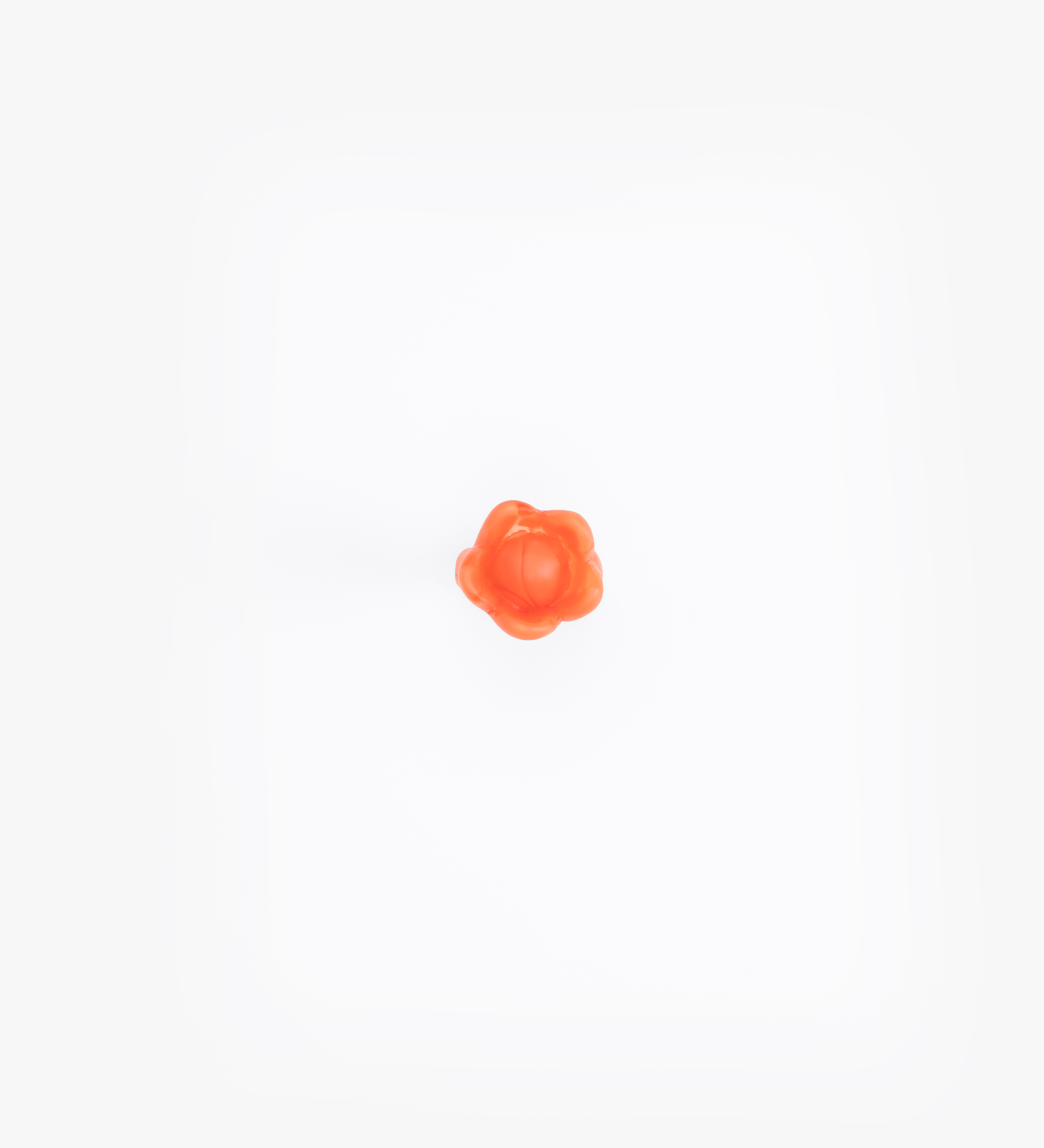 Dinosaur Designs Bud Ring Rings in Lychee Colour resin with Regular Fit