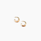 Small Horn Earrings