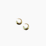 Small Horn Earrings