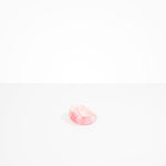 Dinosaur Designs Small Drift Dish in Shell Pink Colour resin