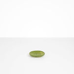 Dinosaur Designs Temple Dish in Olive Colour resin