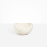 Large Beetle Bowl